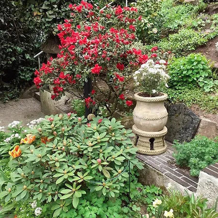 Bed & Breakfast Die Villa Mettmann Mettmann