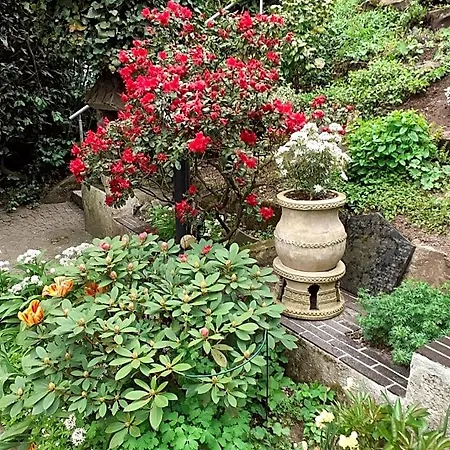 B&B Die Villa Mettmann