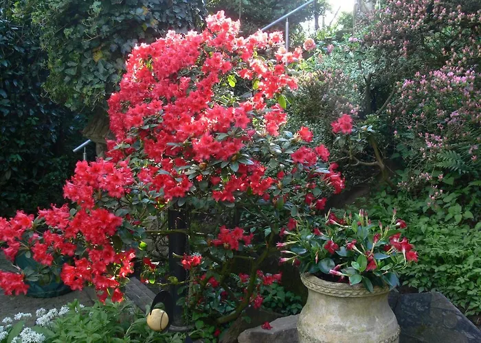 Die Villa Mettmann Bed & Breakfast 4*