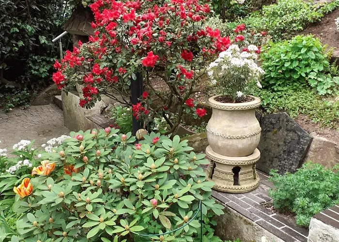 Bed & Breakfast Die Villa Mettmann Mettmann